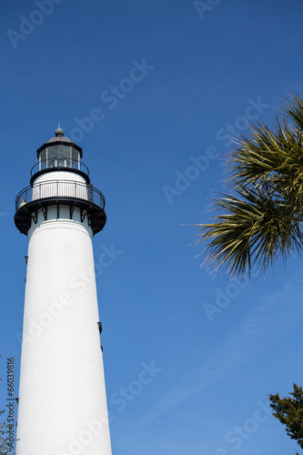 White Lighthouse and Palm Fronds