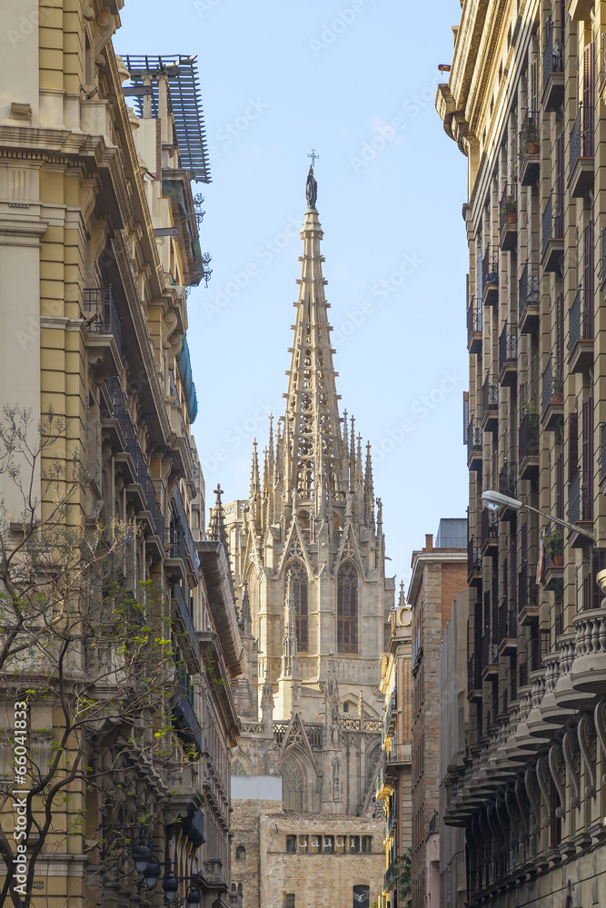 barcelona cathedral view
