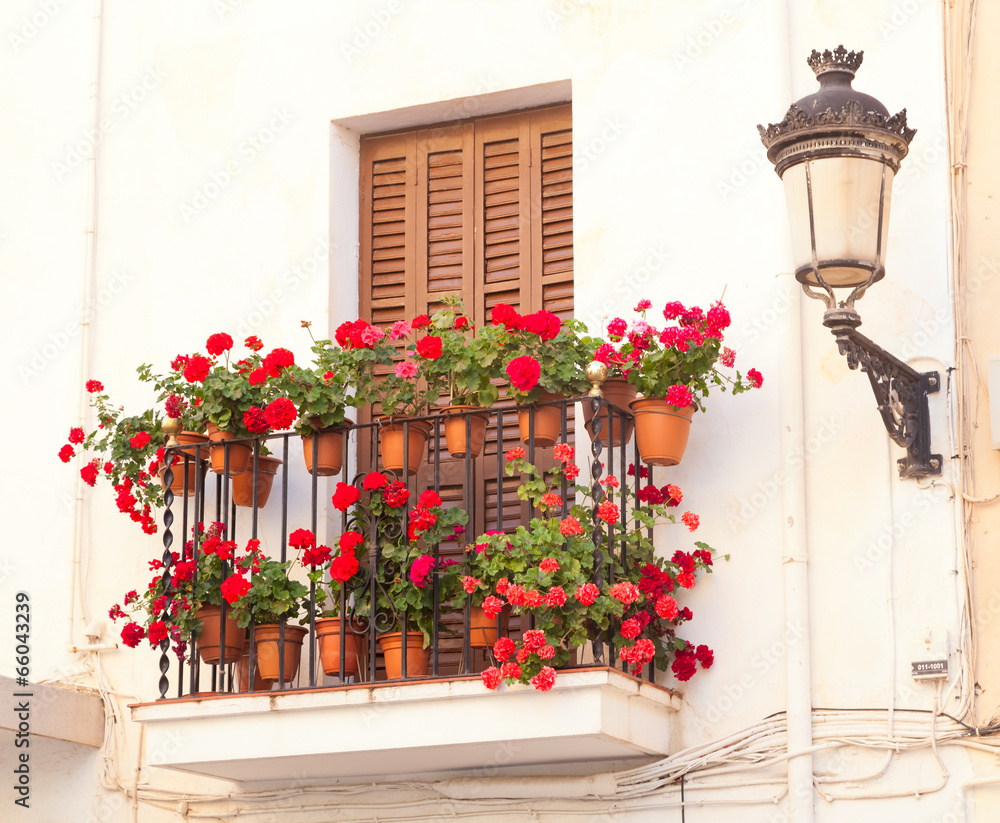 flower pots on the balcony of the house