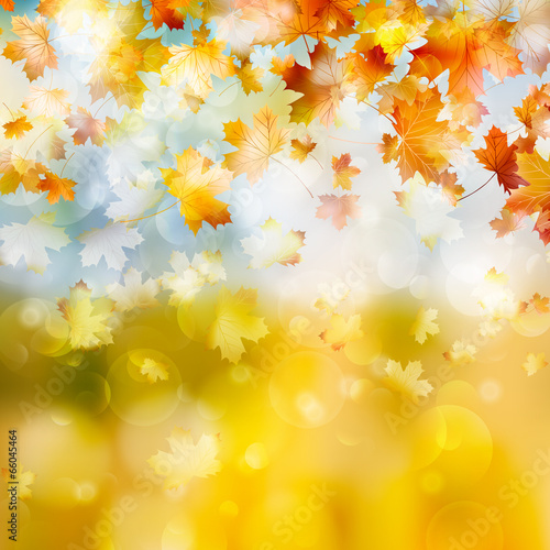 Autumn maple leaves background. EPS 10