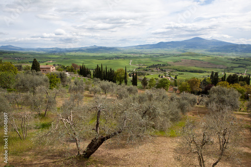 Pienza. Italy. Tuscan landscapes.