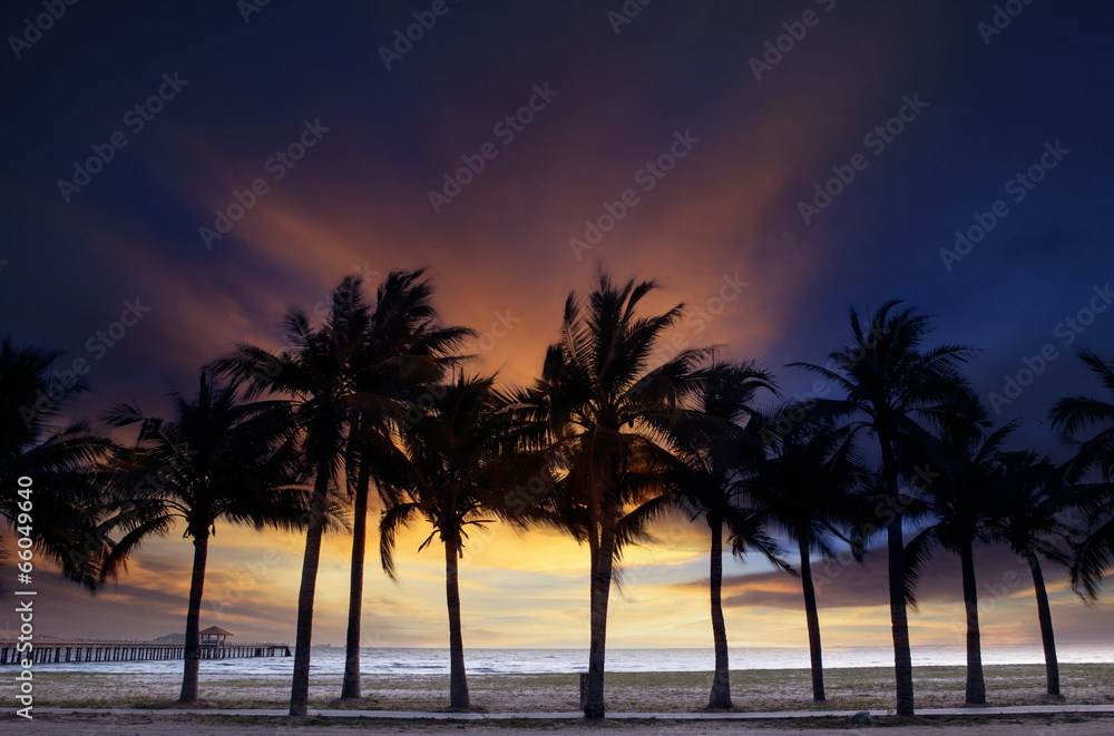 beautiful  twilight sky and dusky with silhouete coconut tree on