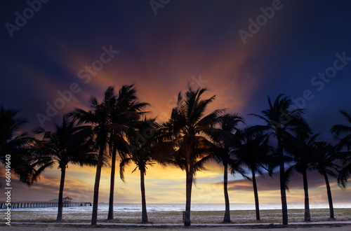 beautiful twilight sky and dusky with silhouete coconut tree on