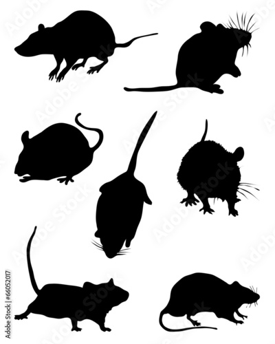 Black silhouettes of mouses,vector