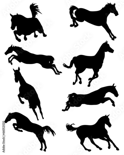 Black silhouettes of horses in jump  vector