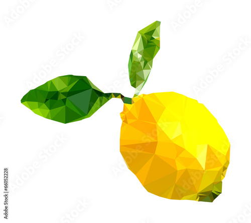 Polygonal Lemon Illustration