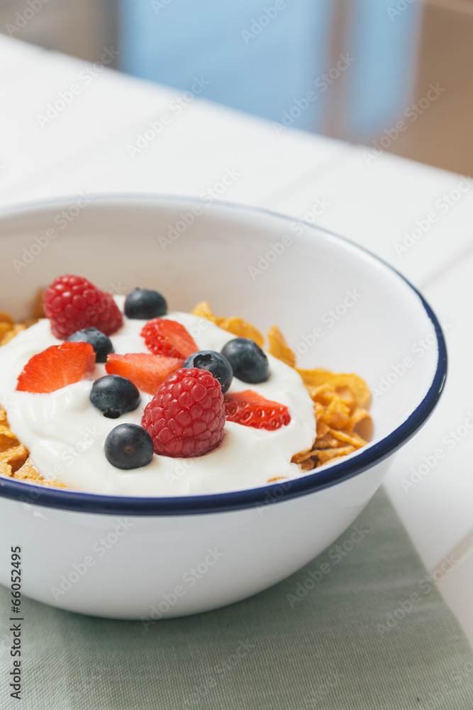 Healthy breakfast with cereals and berries in an enamel bowl Healthy breakfast with cereals and berries in an enamel bowl
