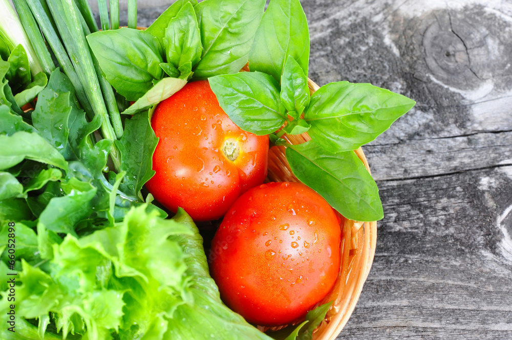 Fresh vegetables and greenery are in a basket on a old wooden Fresh vegetables and greenery are in a basket on a old wooden