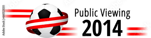 Public Viewing 2014