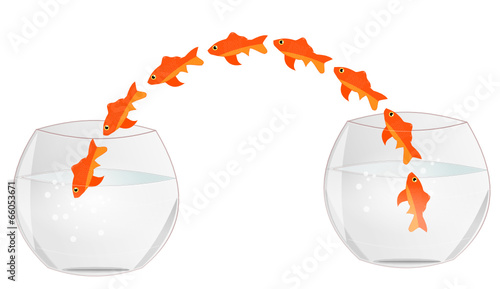 D'un aquarium à l'autre
