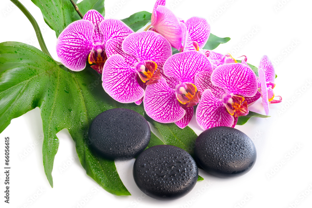 Φωτογραφία Beautiful spa still life of blooming branch stripped violet orch