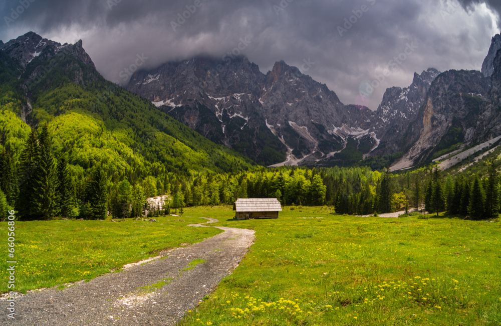 Alpejska dolina Planicy,Słowenia - obrazy, fototapety, plakaty 