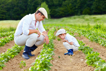 father and son gardening on their homestead