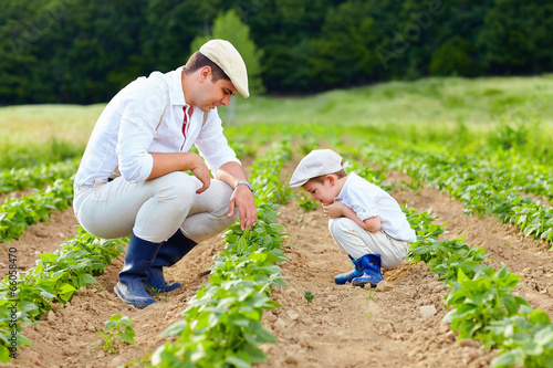 father and son gardening on their homestead photo