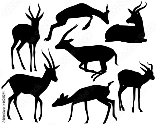 Gazelle Set