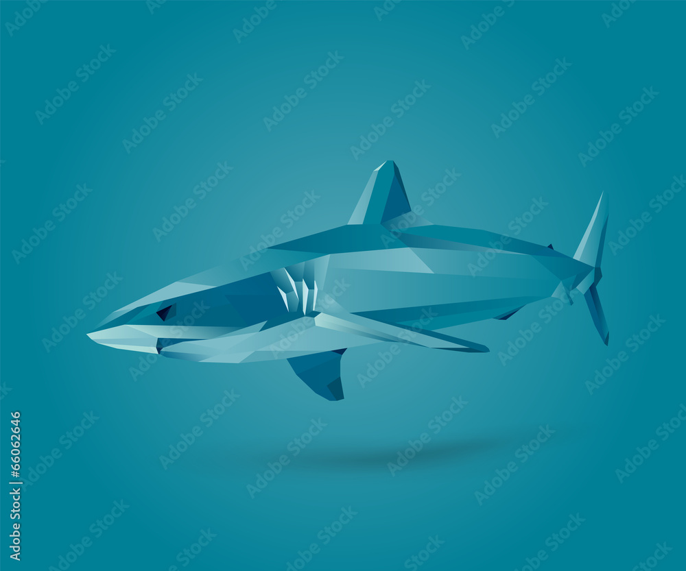Fototapeta premium Fish - Shark