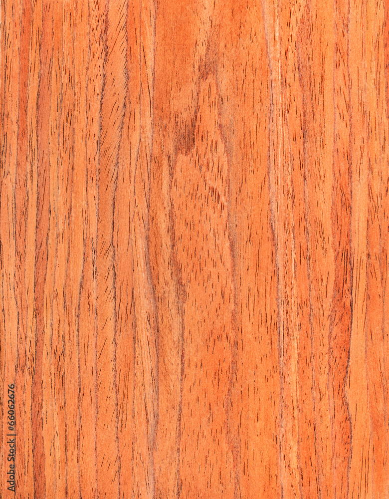 walnut wooden texture, wood grain, natural rural tree background walnut wooden texture, wood grain, natural rural tree background