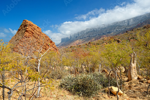 Socotra photo