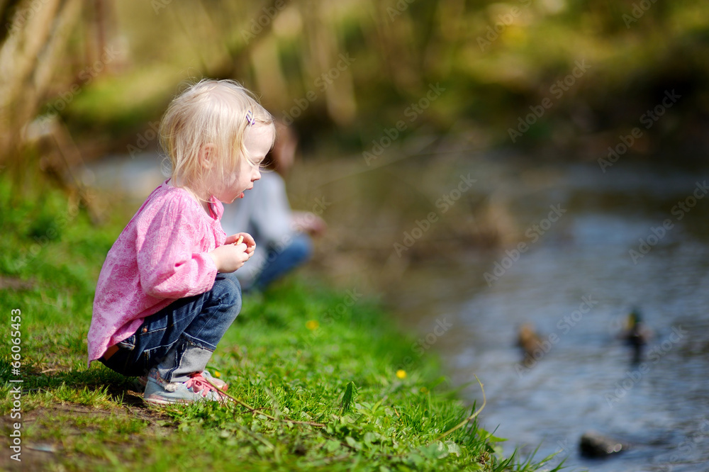 Adorable little girl feeding ducks Adorable little girl feeding ducks
