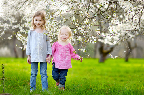 Two cute little sisters in blooming garden