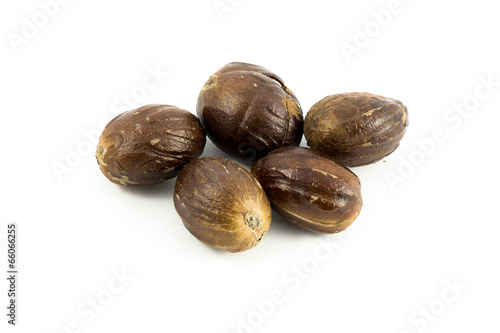Nutmeg 1