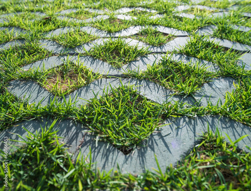 close up of stone block walk path in the park with green grass