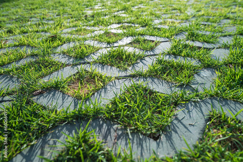 close up of stone block walk path in the park with green grass