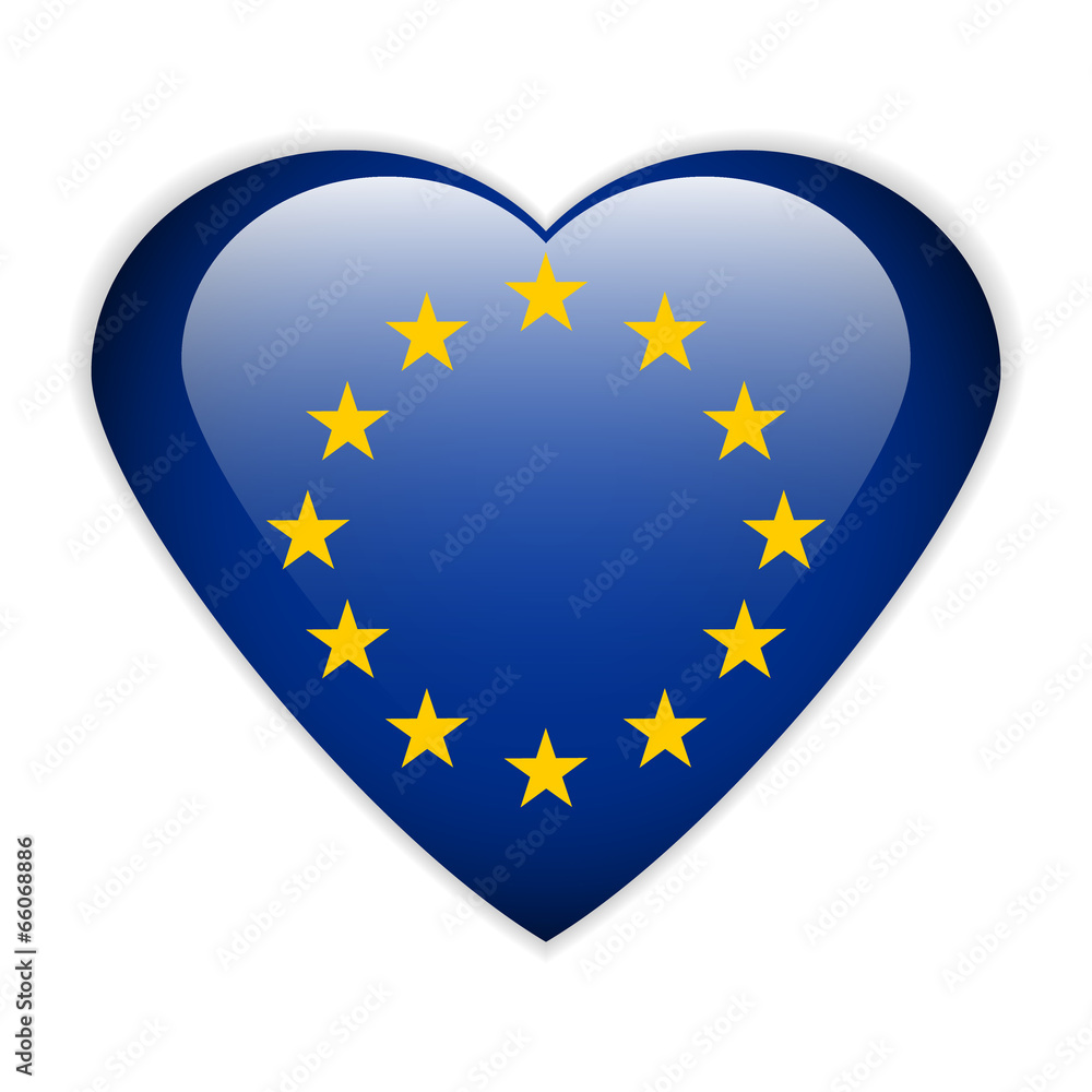 The European Union flag button. The European Union flag button.