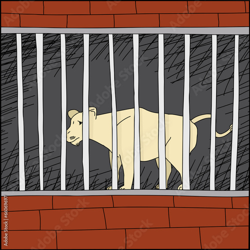 Lion in Cage