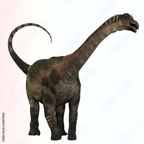Antarctosaurus Profile © Catmando