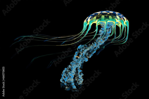 Canvas Print Blue Jellyfish