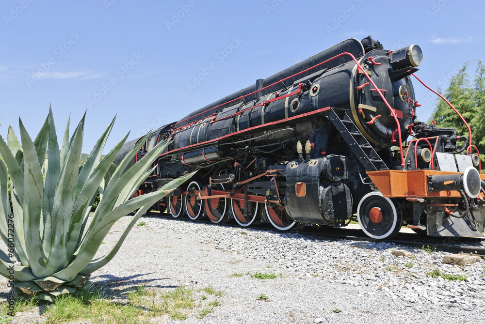 Fototapeta premium old train