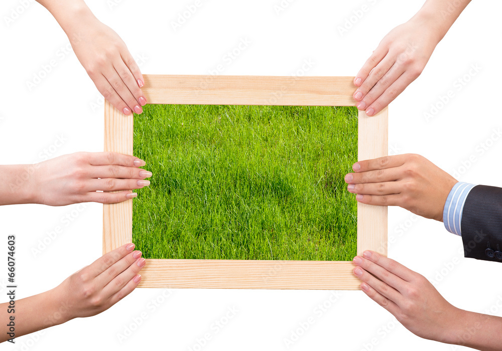 Frame with grass Frame with grass