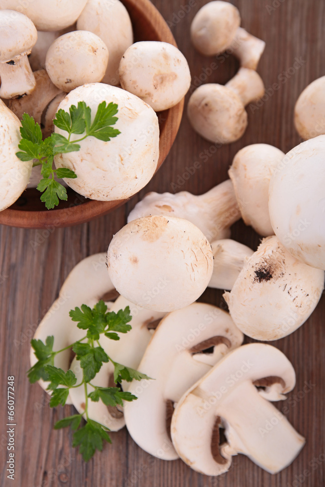 mushroom mushroom