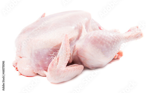 Raw chicken isolated closeup