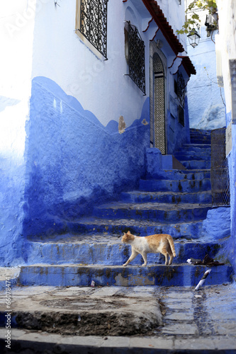 Chefchaouen, Morocco © dschreiber29