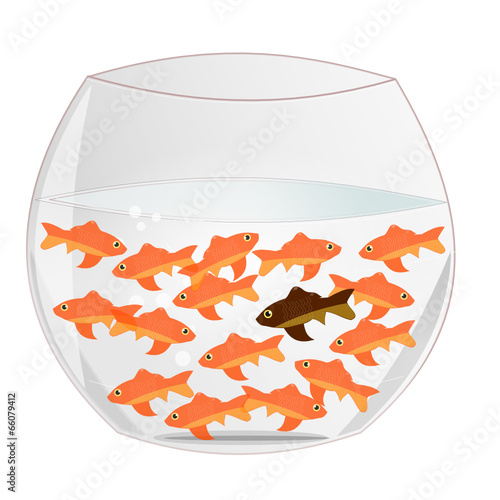 Le poisson différent