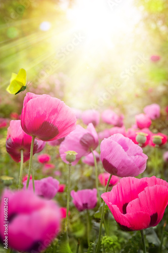 abstract summer Floral background