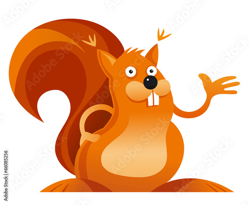 Squirrel