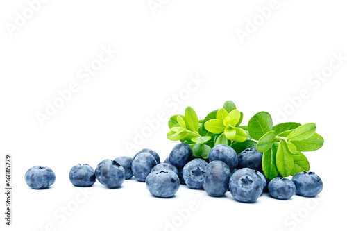Ripe bilberries on white background Fototapeta