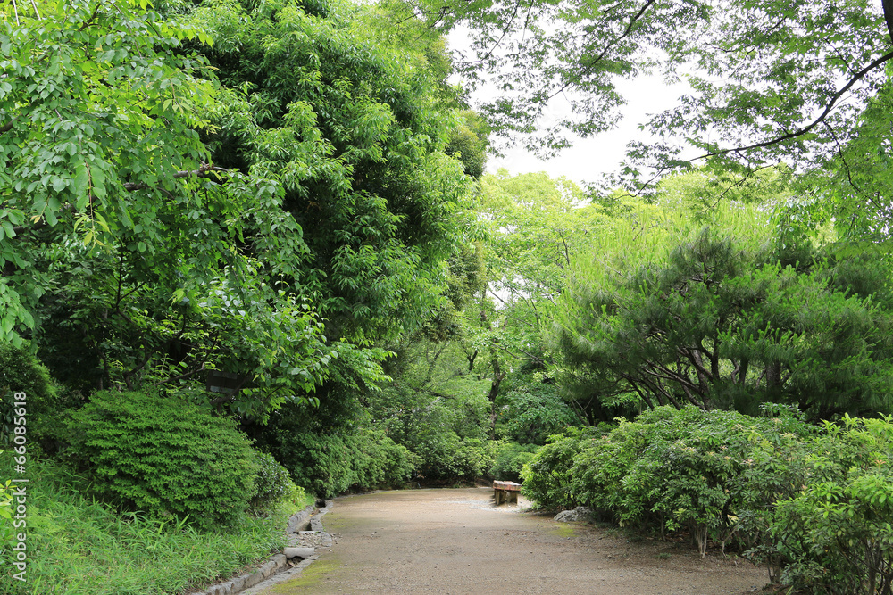 Naklejka premium Sance Road