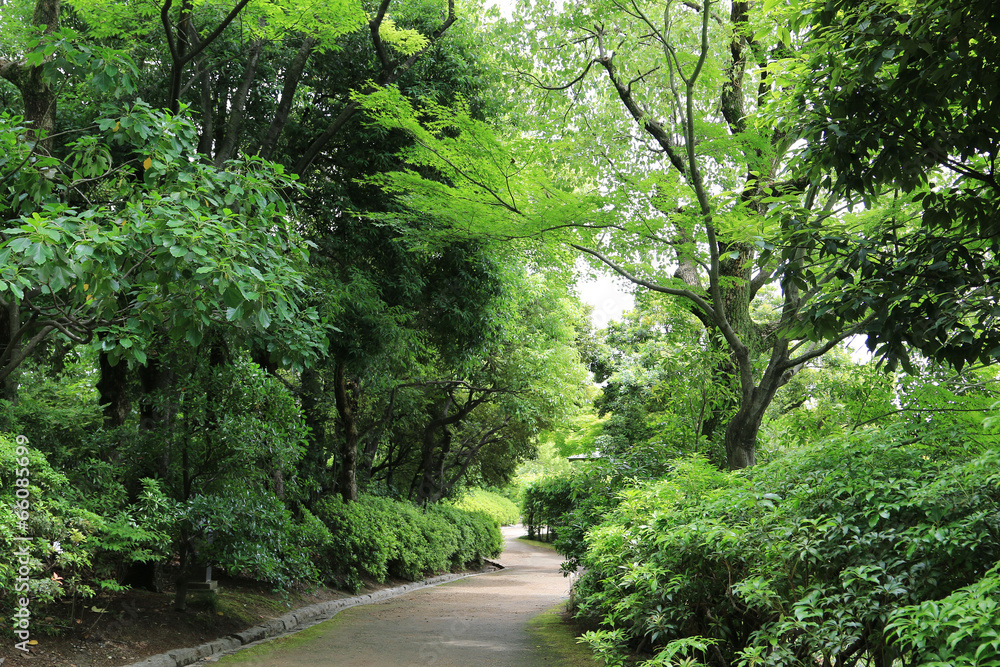 散策路 散策路