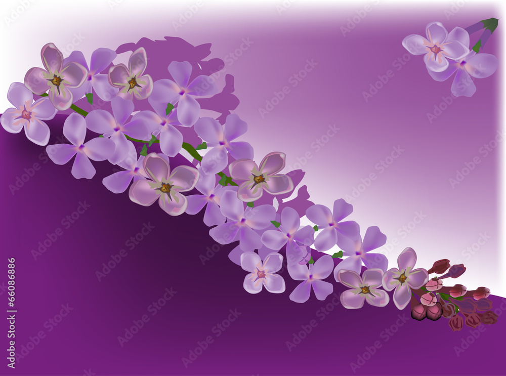lilac flower curl decoration lilac flower curl decoration