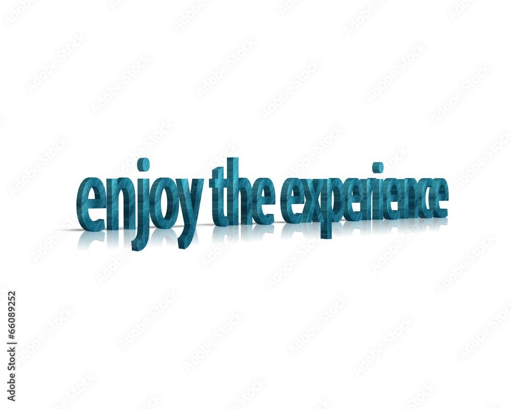 enjoy the experience enjoy the experience