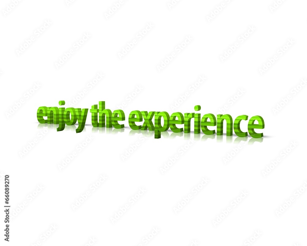 enjoy the experience enjoy the experience