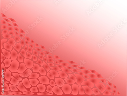 cell tissue background
