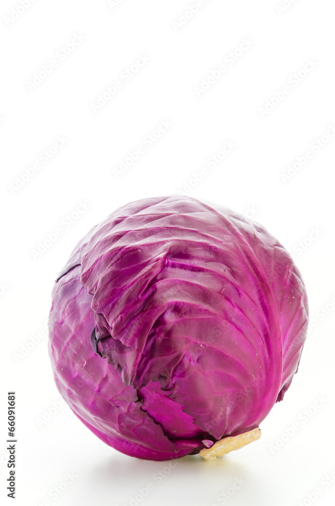 Cabbage isolated on white