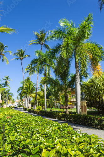 A view of a park and street leading to the sea photo