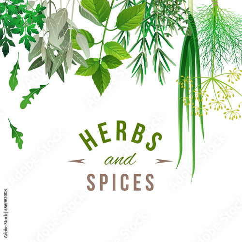 herbs and spices