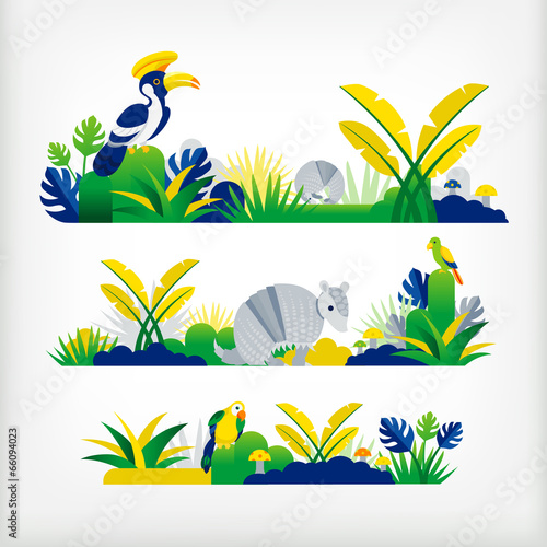 jungle in brazil